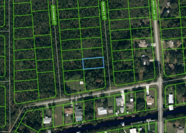 .26 acres in Central Florida - Image 5