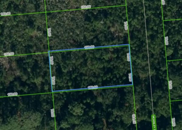 .26 acres in Central Florida - Image 6