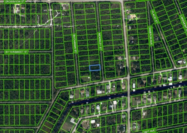 .26 acres in Central Florida - Image 4