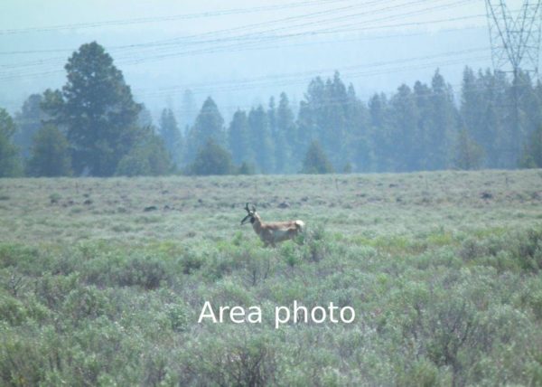 9.53 acres in Klamath County, OR - Image 12