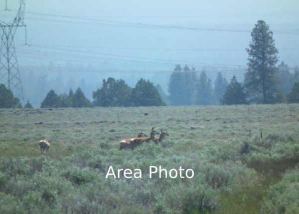 9.53 acres in Klamath County, OR - Image 11