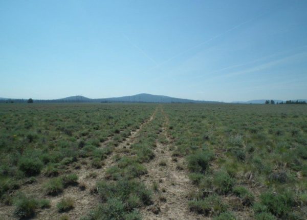 9.53 acres in Klamath County, OR - Image 4