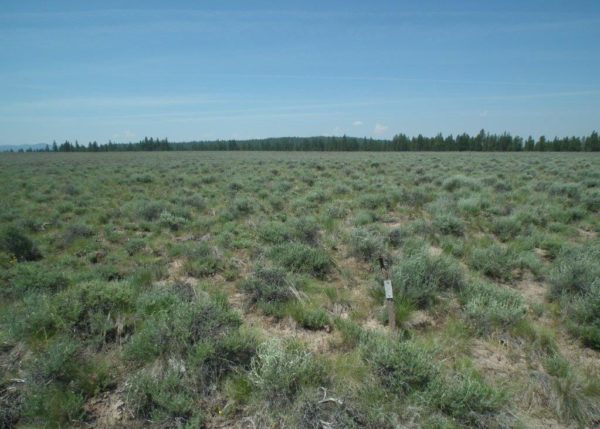 9.53 acres in Klamath County, OR - Image 3