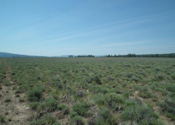 9.53 acres in Klamath County, OR - Image 2