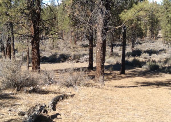 2.41 acres near Sprague River, OR - Image 4