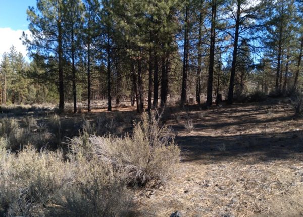 2.41 acres near Sprague River, OR - Image 2