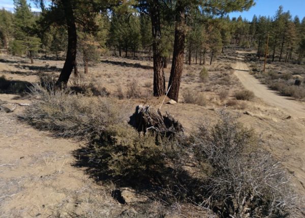 2.41 acres near Sprague River, OR - Image 6