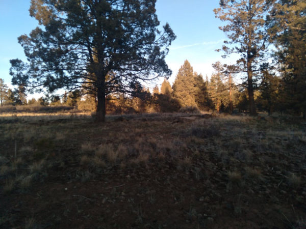 2.48 acres near Bonanza, OR - Image 21