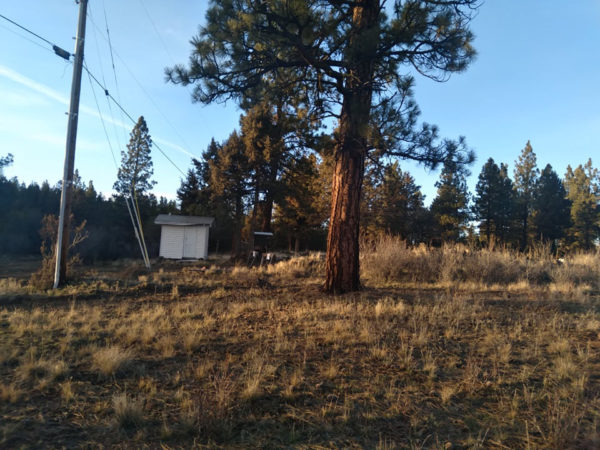 2.48 acres near Bonanza, OR - Image 7