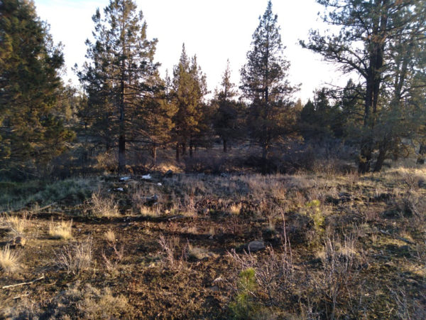 2.48 acres near Bonanza, OR - Image 2