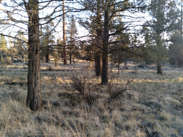 2.48 acres near Bonanza, OR - Image 16