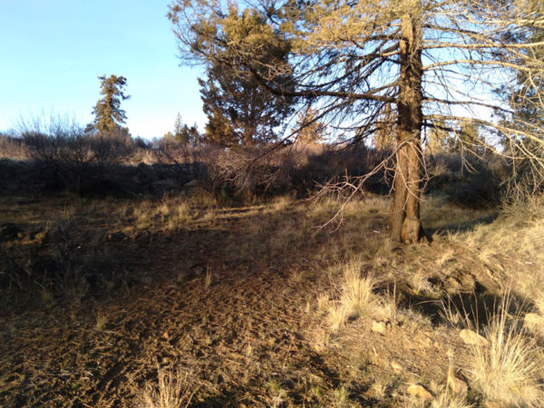 2.48 acres near Bonanza, OR - Image 15