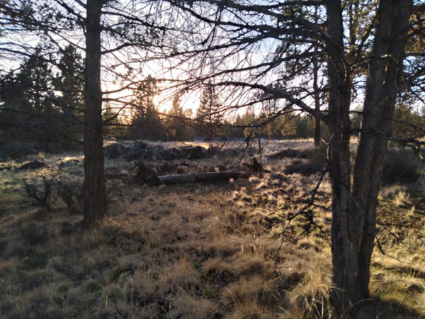 2.48 acres near Bonanza, OR - Image 14
