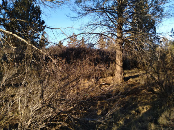 2.48 acres near Bonanza, OR - Image 13