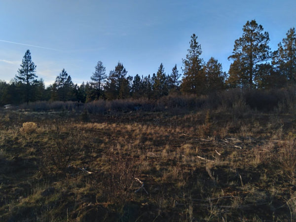 2.48 acres near Bonanza, OR - Image 11