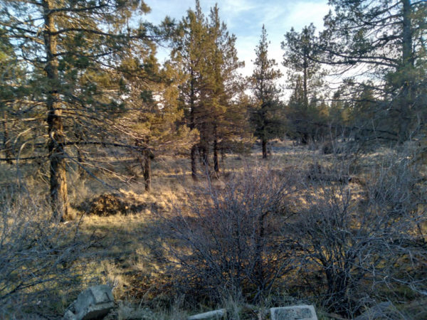 2.48 acres near Bonanza, OR - Image 10