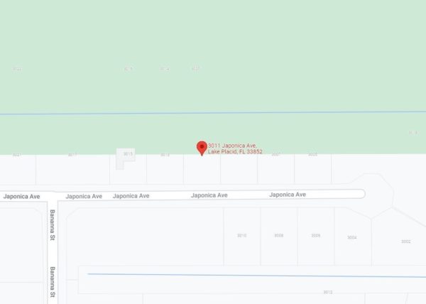 .23 acres in Leisure Lakes, Florida - Image 24