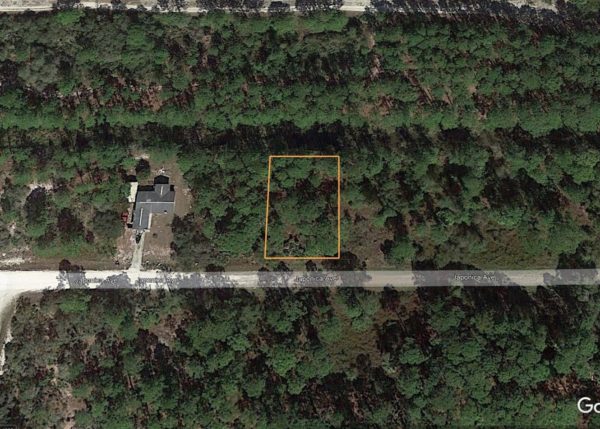 .23 acres in Leisure Lakes, Florida - Image 22