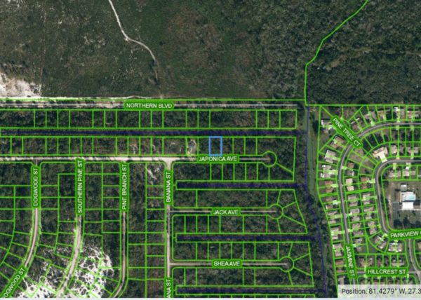 .23 acres in Leisure Lakes, Florida - Image 13
