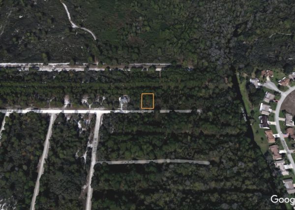 .23 acres in Leisure Lakes, Florida - Image 16