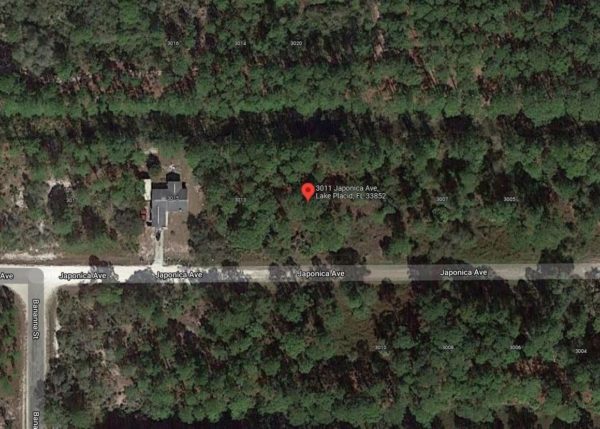 .23 acres in Leisure Lakes, Florida - Image 15