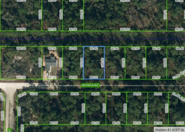 .23 acres in Leisure Lakes, Florida - Image 12