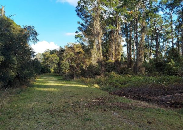 .23 acres in Leisure Lakes, Florida - Image 3
