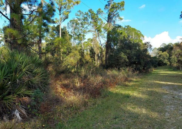 .23 acres in Leisure Lakes, Florida - Image 8