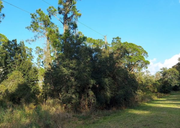 .23 acres in Leisure Lakes, Florida - Image 7