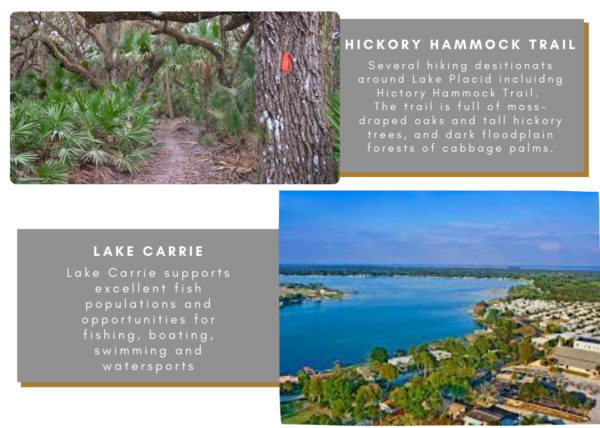 .31 acres near Lake Placid, FL - Image 16