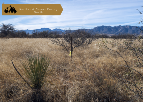 1.17 acres in Cochise County, AZ - Image 6