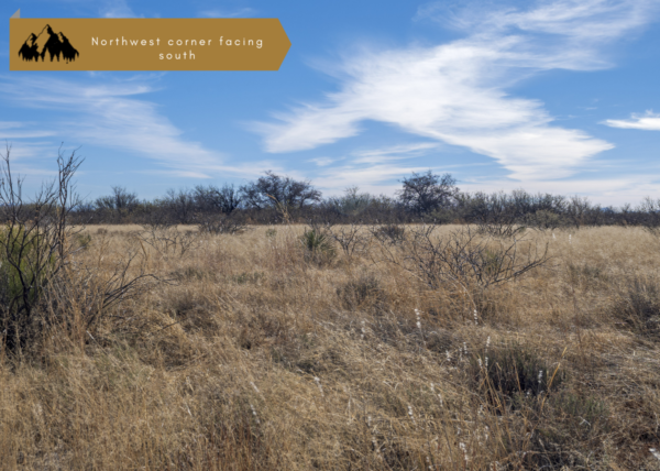 1.17 acres in Cochise County, AZ - Image 4