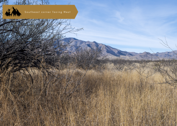 1.17 acres in Cochise County, AZ - Image 2
