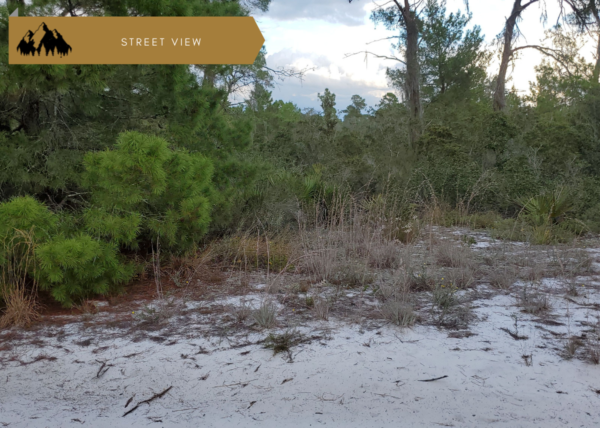 Triple lot!  3/4 of an acre near Lake Placid, FL - Image 8
