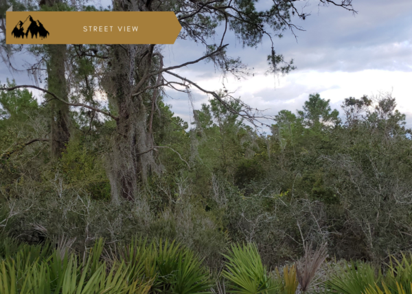 Triple lot!  3/4 of an acre near Lake Placid, FL - Image 3