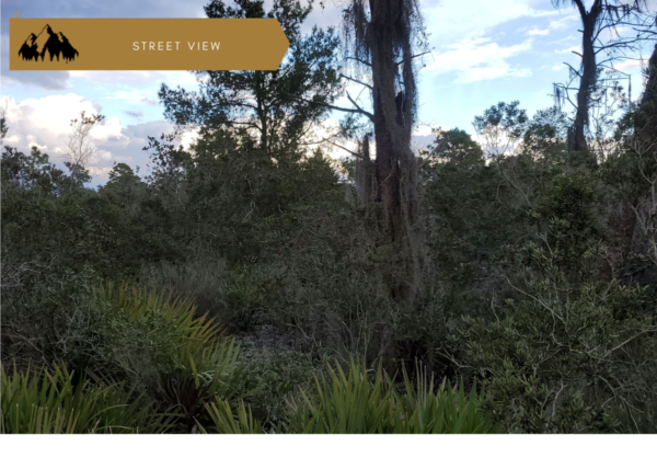 Triple lot!  3/4 of an acre near Lake Placid, FL - Image 2
