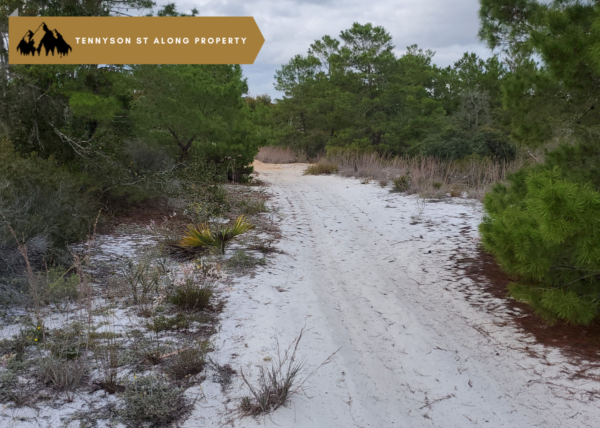 Triple lot!  3/4 of an acre near Lake Placid, FL - Image 6
