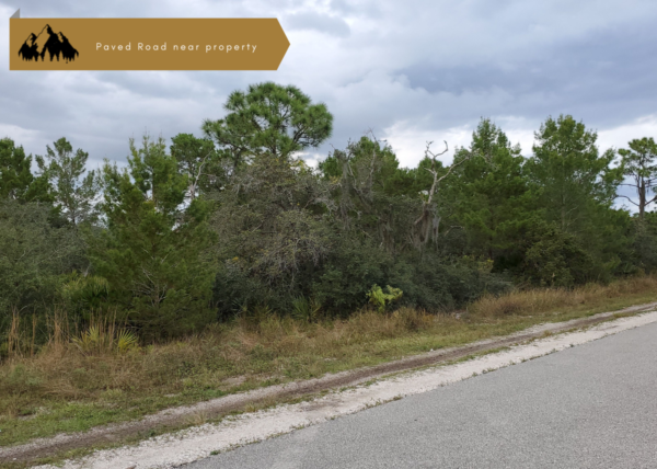 Triple lot!  3/4 of an acre near Lake Placid, FL - Image 4