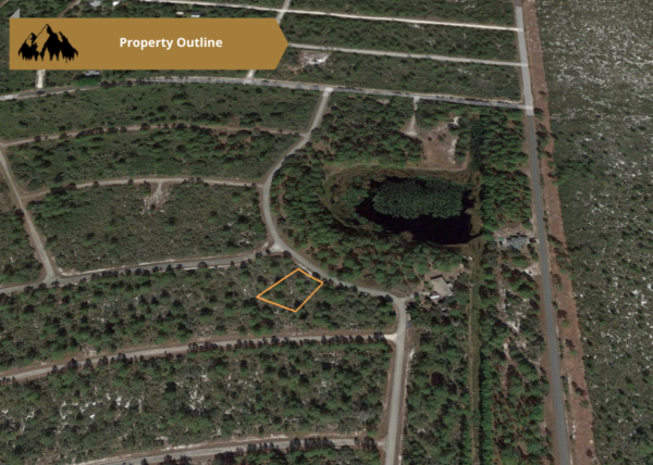 .31 acres near Lake Placid, FL - Image 9