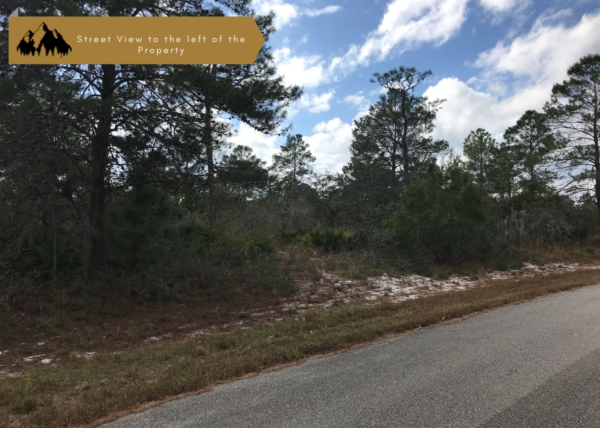 .31 acres near Lake Placid, FL - Image 6