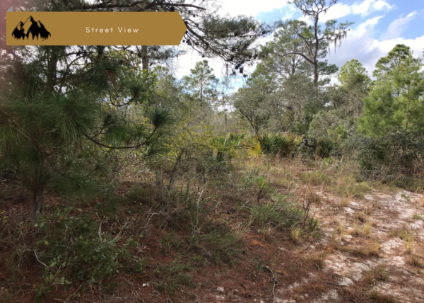 .31 acres near Lake Placid, FL - Image 7