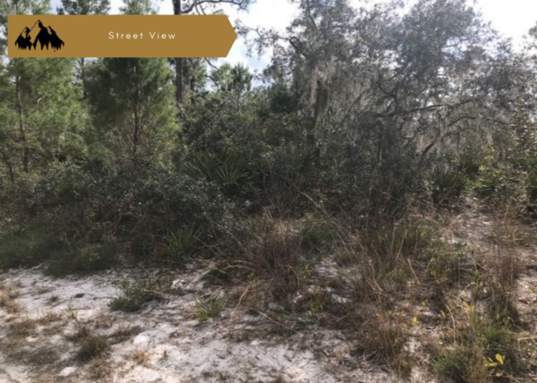 .31 acres near Lake Placid, FL - Image 8
