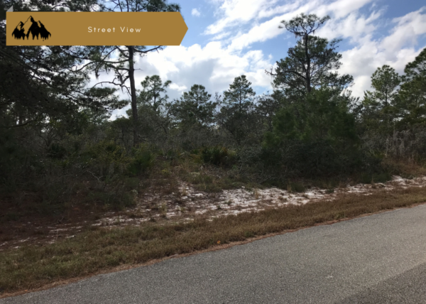 .31 acres near Lake Placid, FL - Image 5