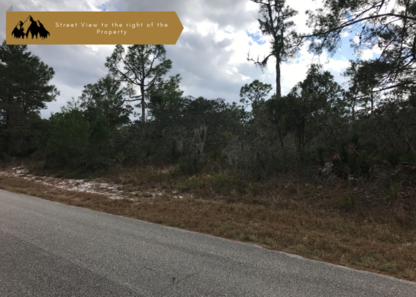 .31 acres near Lake Placid, FL - Image 2