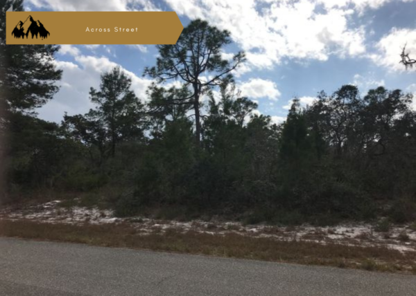 .31 acres near Lake Placid, FL - Image 3