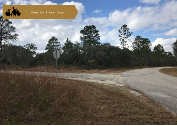 .31 acres near Lake Placid, FL - Image 4