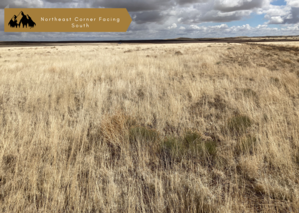 1 acre in Apache County, AZ - Image 5