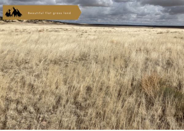 1 acre in Apache County, AZ - Image 6