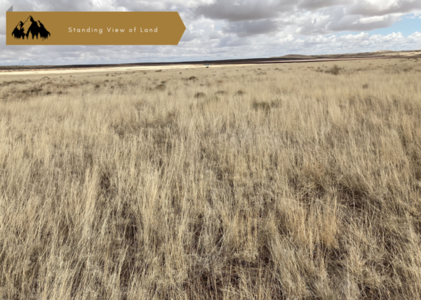 1 acre in Apache County, AZ - Image 4