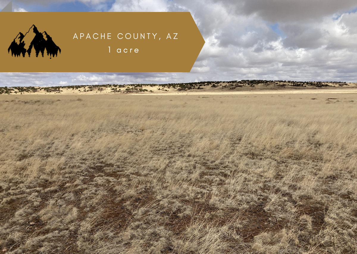 1 acre in Apache County, AZ